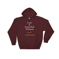 Powerful Witness Hooded Sweatshirt - Walk Of The Spirit Apparel