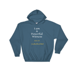 Powerful Witness Hooded Sweatshirt - Walk Of The Spirit Apparel